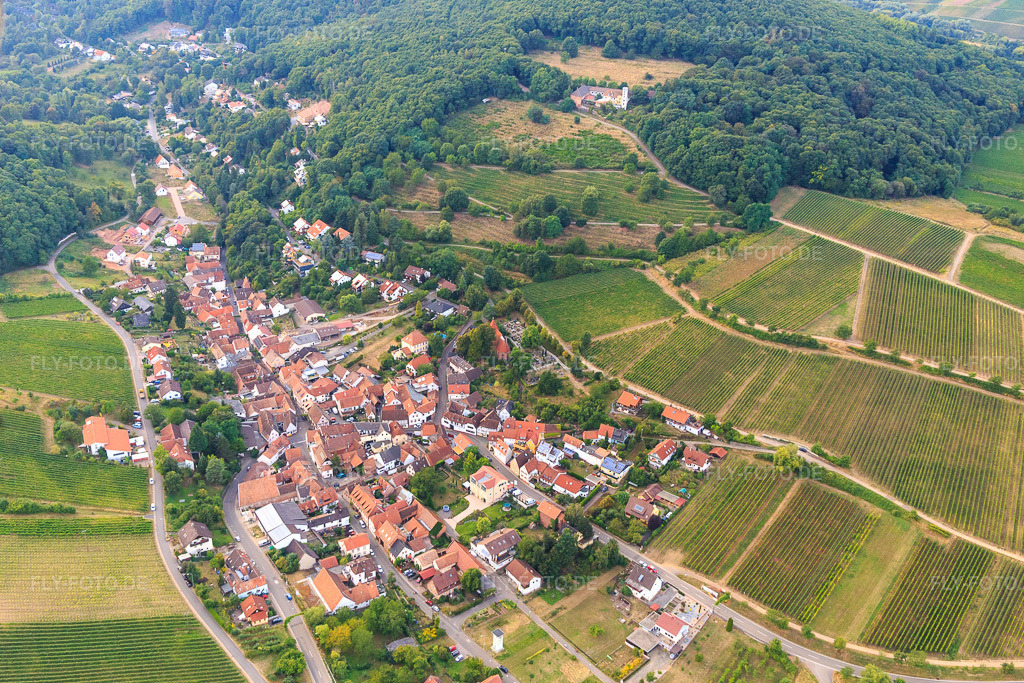 Luftbild: Winzerdorf zu Füßen des Haardtrands aus Südosten in Leinsweiler im Bundesland Rheinland-Pfalz in Deutschland. Foto: IMG_094586.jpg vom 02.09.2016 durch Werner Riehm/FLY-FOTO.de