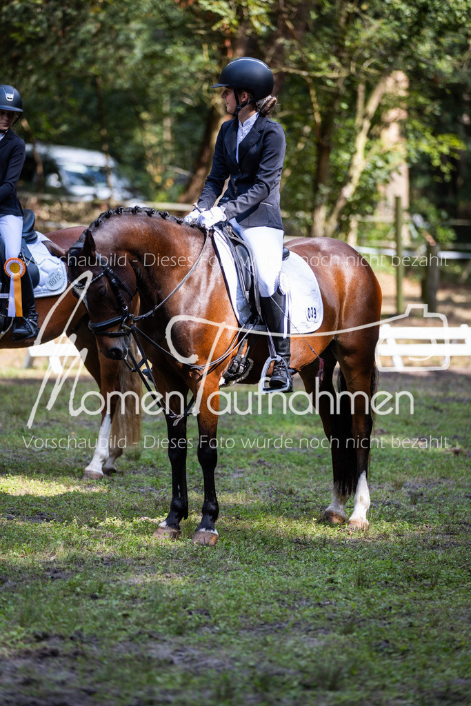 HB-Reiter-WB-089 | MomenTaufnahmen Pferdesportfotos