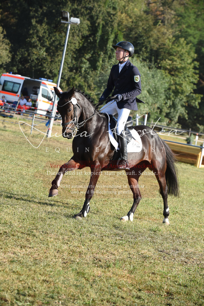 DSC_5069 | Pferde- und Turnierfotografie in Westsachsen. Pferdeportraits, Auftragszeichnungen und intuitive Kunst.