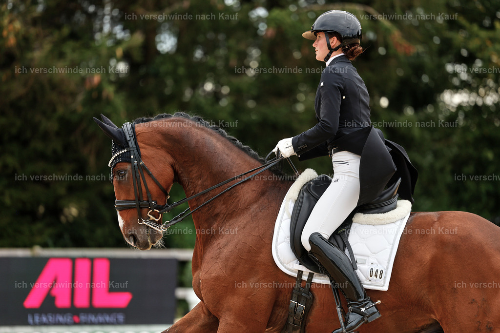 11-048-Dressur S___-StoibPH-1412 | working equitationturnier fotograf videograf stoibphotography marixx film working equitation deutschland reitsport turnierfotografie eventfotografie equestrian events