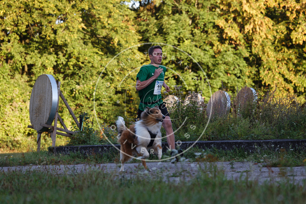 0L8A4486 | Hundefotografie, Tierfotograf, Pfotenfotografie, Fotoshooting Hund, Hunde Portrait, Hundesport, Hundeportraits, Heideshooting, Hunde, Sportfotograf, Hundefotograf, Turnierhundsport, THS,  - Realisiert mit Pictrs.com
