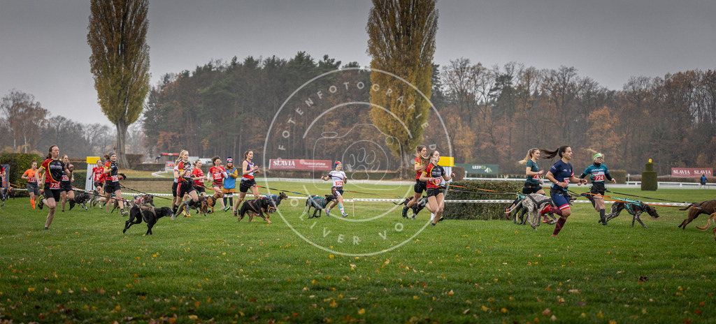 CaniXpix_DV3A8783 | Hundefotografie, Tierfotograf, Pfotenfotografie, Fotoshooting Hund, Hunde Portrait, Hundesport, Hundeportraits, Heideshooting, Hunde, Sportfotograf, Hundefotograf, Turnierhundsport, THS,  - Realisiert mit Pictrs.com