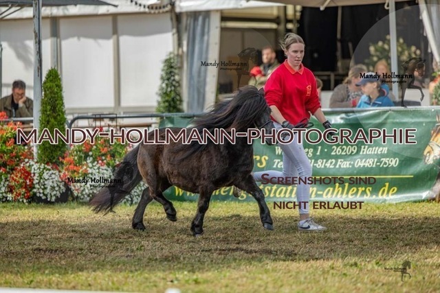 26-8-22 P C-249 | mandyhollmannphotographie