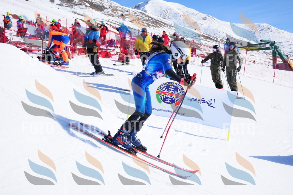 DSC_4164 | holidayphoto