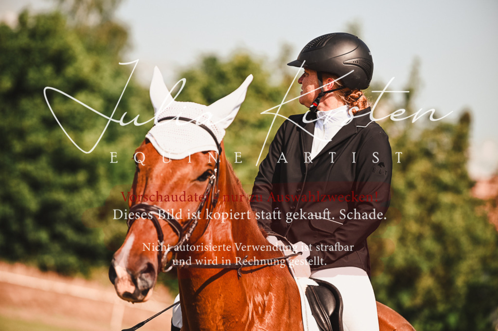 DSC_7351 | Pferde- und Turnierfotografie in Westsachsen. Pferdeportraits, Auftragszeichnungen und intuitive Kunst.