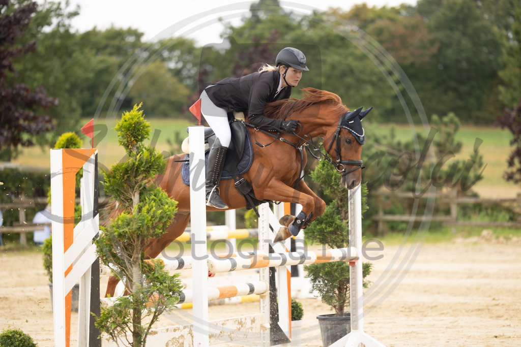 994A7812 | sabrinanicolaifotografie - Realisiert mit Pictrs.com