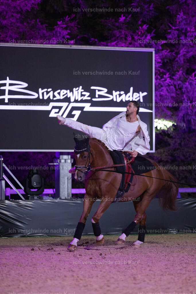Gala-242 | working equitationturnier fotograf videograf stoibphotography marixx film working equitation deutschland reitsport turnierfotografie eventfotografie equestrian events
