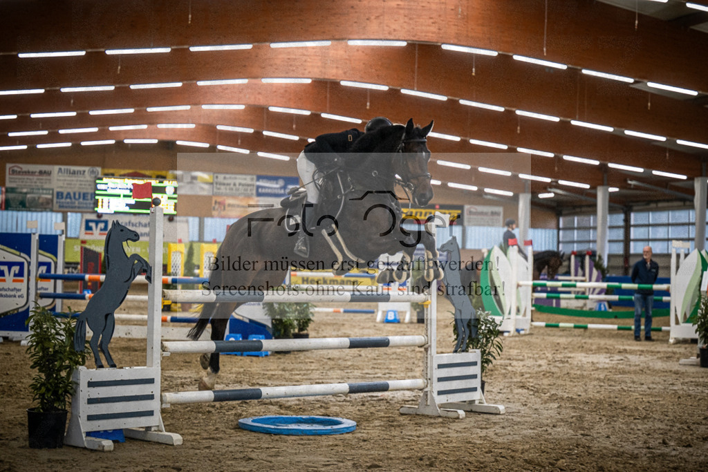 DOS_B1118 | Entdecke hochwertige Reitturnierfotos von Foto Oger. Professionell, emotional und authentisch – jetzt Lieblingsmomente im Shop bestellen.Deutschlandweite Turnierfotografie. - Realisiert mit Pictrs.com