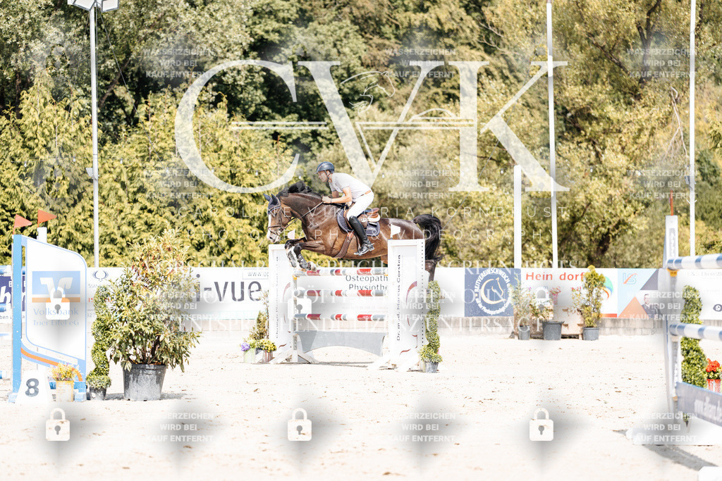 CK905193 | Turnierfotografie Pferdefotografie Trier Rheinland-Pfalz Pferdesport Reitsport Tierfotografie Sportfotografie Pferdevideo Pferdevideografie Equestrianvideography equestrianphotography  - Realisiert mit Pictrs.com