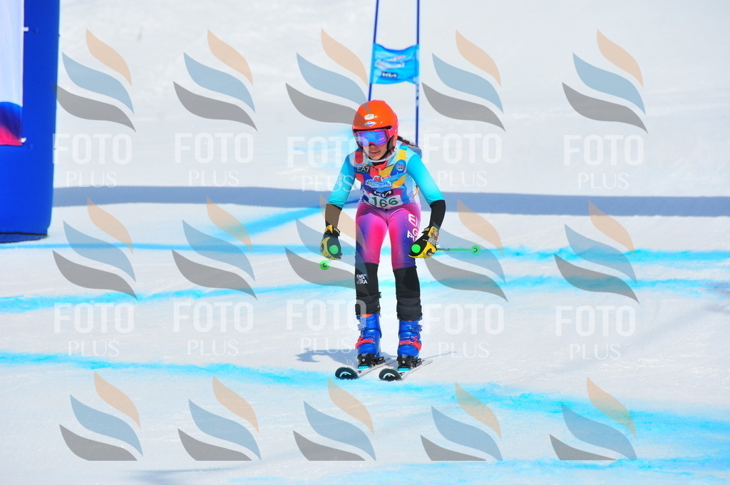 DSC_1490 | holidayphoto