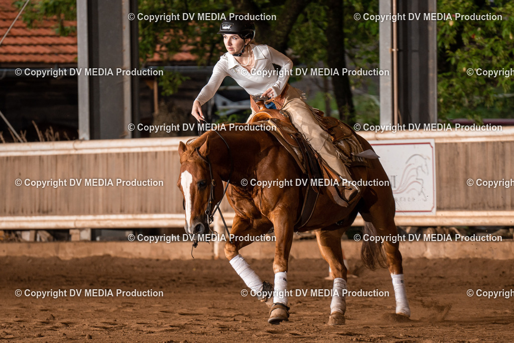 Erbach Tag 3-849 | dv-media-shop - Realisiert mit Pictrs.com