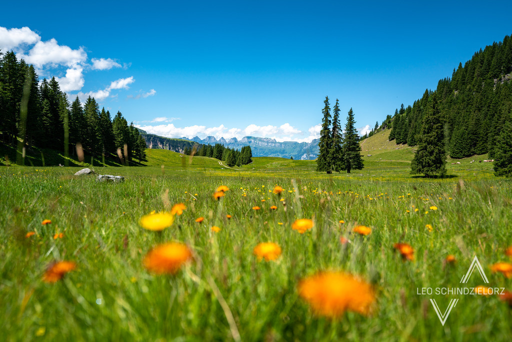 Fotografie_Leo_Schindzielorz_CH_Sommer_Pizol_20220625_A7R06382_org | Atmosphärische Landschaftsbilder & Drohnenaufnahmen aus dem Allgäu, Tirol, Südtirol & der Schweiz – ideal für Leinwanddrucke & zur stilvollen Raumgestaltung. - Realisiert mit Pictrs.com