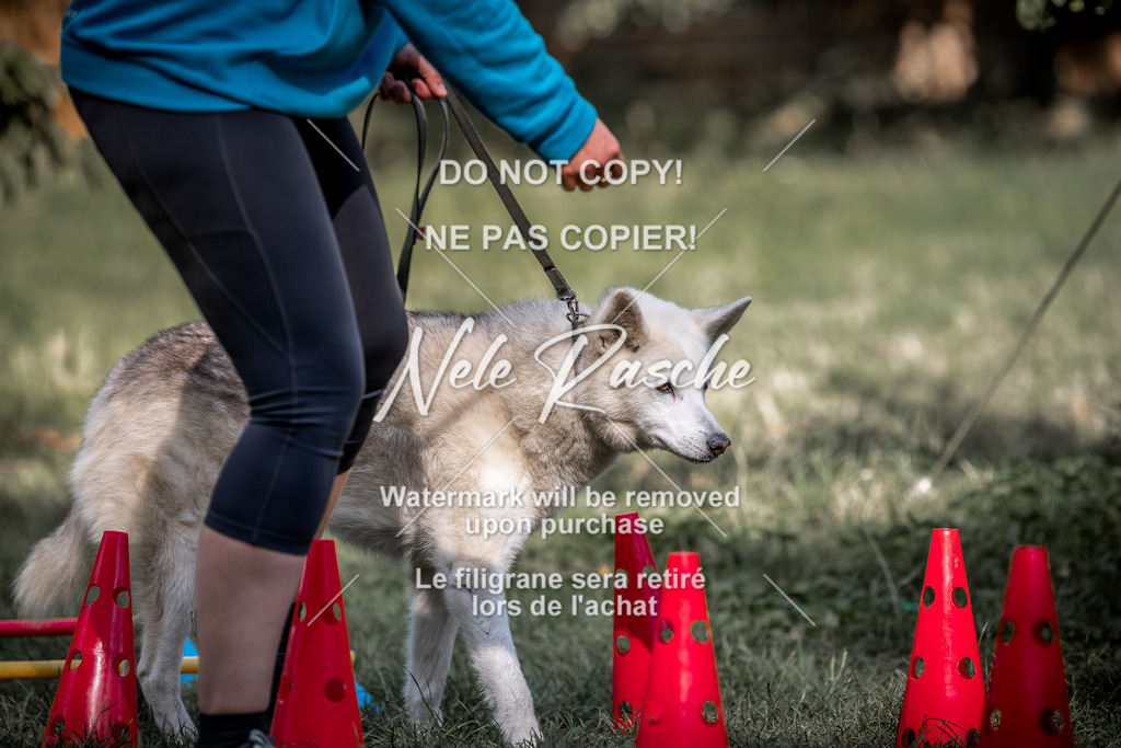 nelerasche_slaw24Sa_122 | nelerasche