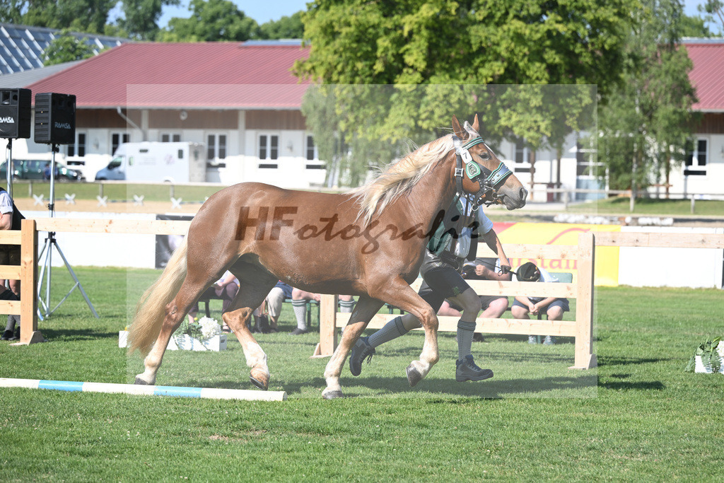 Kat-Nr. 7 Marie_Hartl_20230099 | hf-fotografie - Realisiert mit Pictrs.com