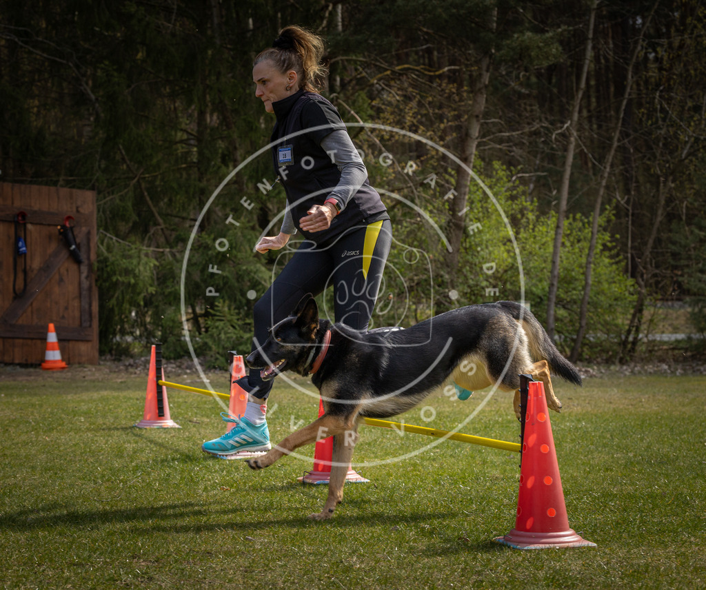 Pfotenfotografie_DV3A3337 | Hundefotografie, Tierfotograf, Pfotenfotografie, Fotoshooting Hund, Hunde Portrait, Hundesport, Hundeportraits, Heideshooting, Hunde, Sportfotograf, Hundefotograf, Turnierhundsport, THS,  - Realisiert mit Pictrs.com