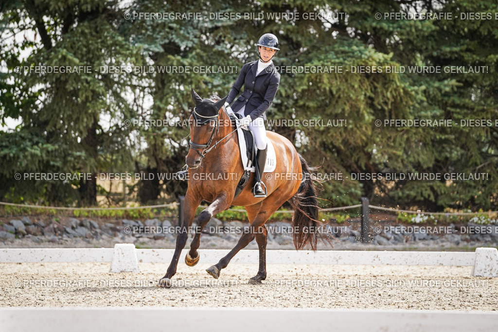 DSC08609 | Pferdegrafie