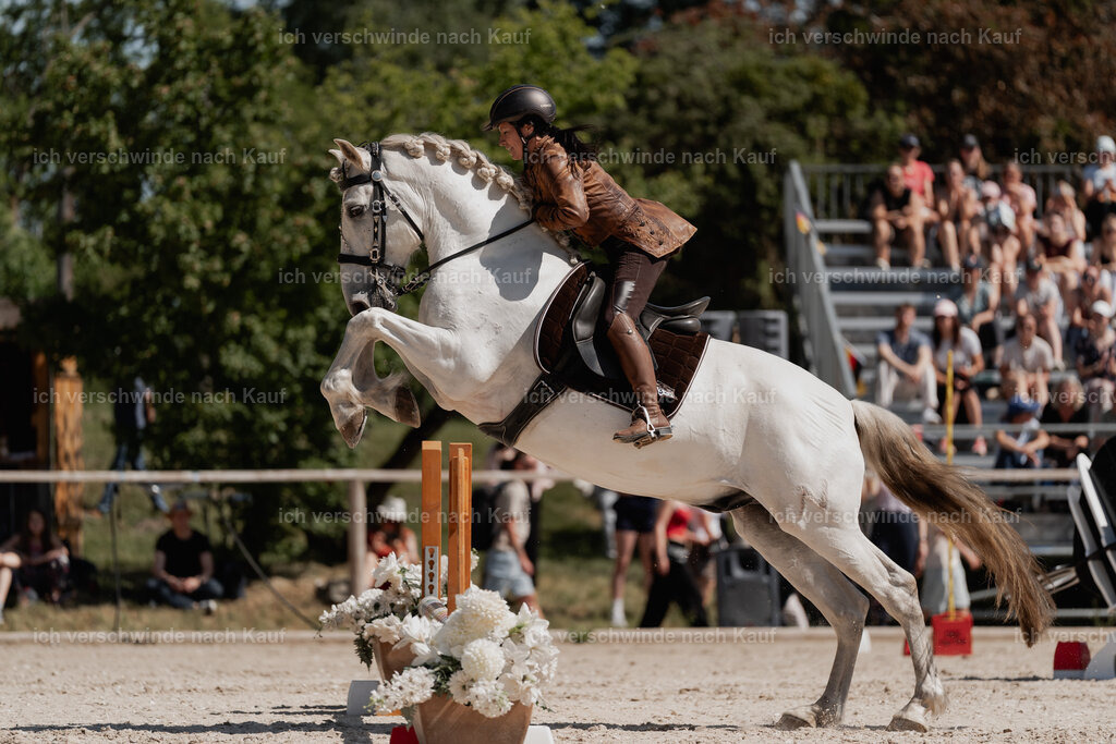 WE_SP_Stoib_347_PI2025_1555 | Pferd International München 2025