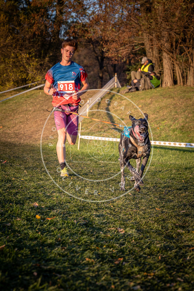 CaniXpix_0L8A1544 | Hundefotografie, Tierfotograf, Pfotenfotografie, Fotoshooting Hund, Hunde Portrait, Hundesport, Hundeportraits, Heideshooting, Hunde, Sportfotograf, Hundefotograf, Turnierhundsport, THS,  - Realisiert mit Pictrs.com