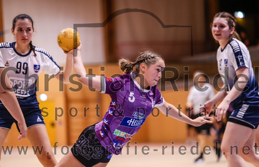 2024-11-24_111_SpVgg_Altenerding_gegen_HC_Donau-Paar_II | Erding, Deutschland, 24.11.2024:Handball, Bezirksoberliga Frauen Altbayern 2024 / 2024, 6. Spieltag, SpVgg Altenerding gegen HC Donau/Paar II, Endergebnis: 24:24Julia Wellmann (HC Donau/Paar, #99), Lena Prem (SpVgg Altenerding, #5), Sandra Geßner (HC Donau/Paar, #19)Foto: Christian Riedel / fotografie-riedel.net