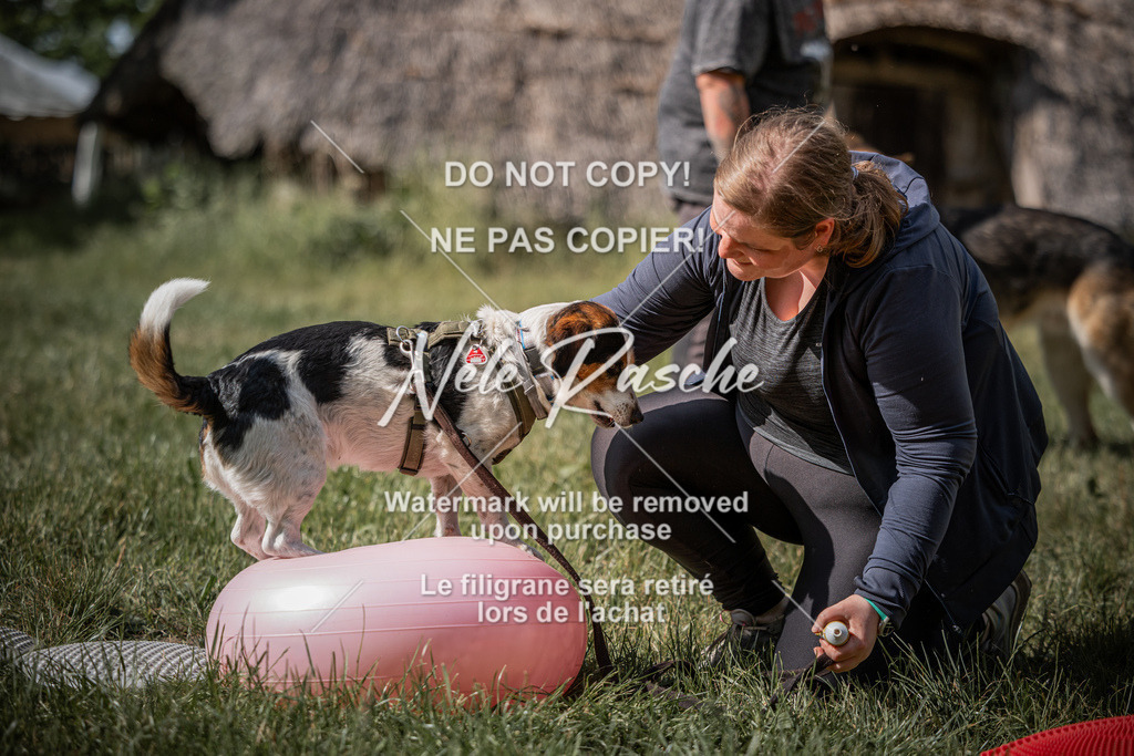 nelerasche_Do-spät_110 | nelerasche