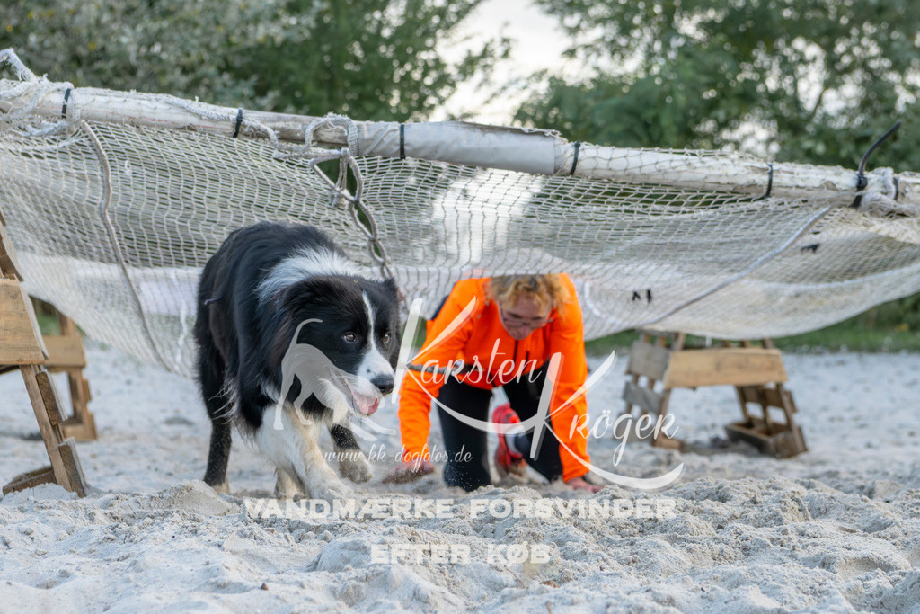 1619_ZZ96971 | kk-dogfotos