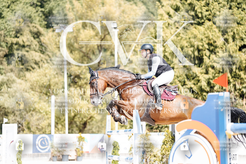 CK905005 | Turnierfotografie Pferdefotografie Trier Rheinland-Pfalz Pferdesport Reitsport Tierfotografie Sportfotografie Pferdevideo Pferdevideografie Equestrianvideography equestrianphotography  - Realisiert mit Pictrs.com