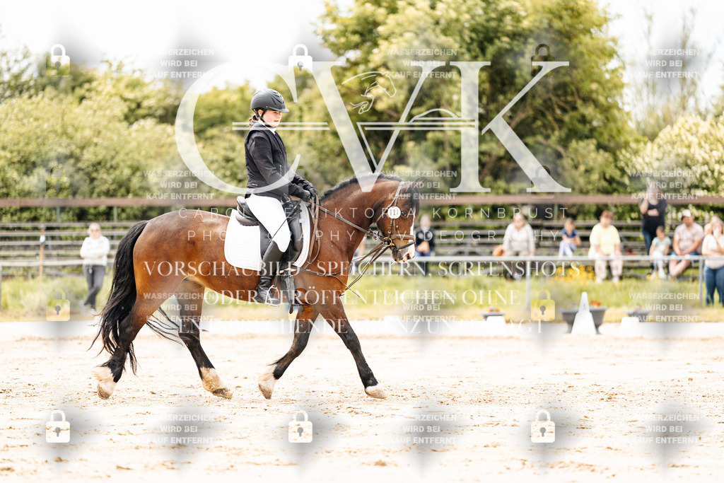 CK902805 | Turnierfotografie Pferdefotografie Trier Rheinland-Pfalz Pferdesport Reitsport Tierfotografie Sportfotografie Pferdevideo Pferdevideografie Equestrianvideography equestrianphotography  - Realisiert mit Pictrs.com