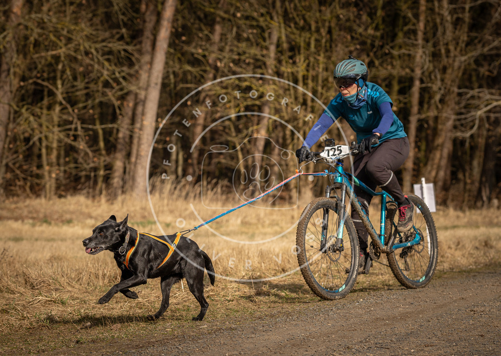 DV3A4531 | Hundefotografie, Tierfotograf, Pfotenfotografie, Fotoshooting Hund, Hunde Portrait, Hundesport, Hundeportraits, Heideshooting, Hunde, Sportfotograf, Hundefotograf, Turnierhundsport, THS,  - Realisiert mit Pictrs.com