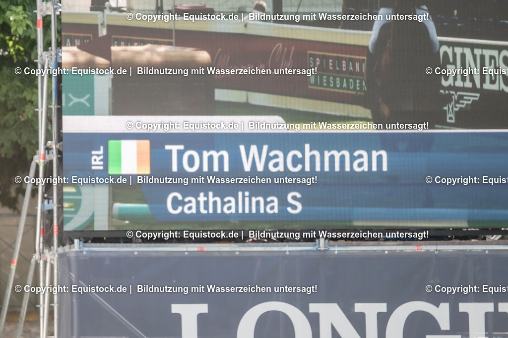 20230527_12_CSI4_Pfungstädter_0010 | equistock