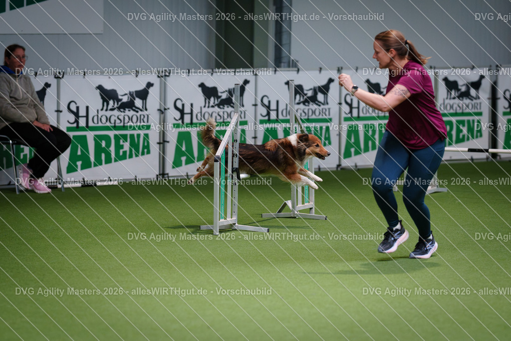 allesWIRTHgut_Tierfotografie-DVG_Agility_Masters_2026-09_04-7R508714 | Professionelle Tierfotografie in Mönchengladbach von Daniel Wirth (allesWIRTHgut). Liebevolle & natürliche Bilder von Hunden & Katzen für unvergessliche Erinnerungen.