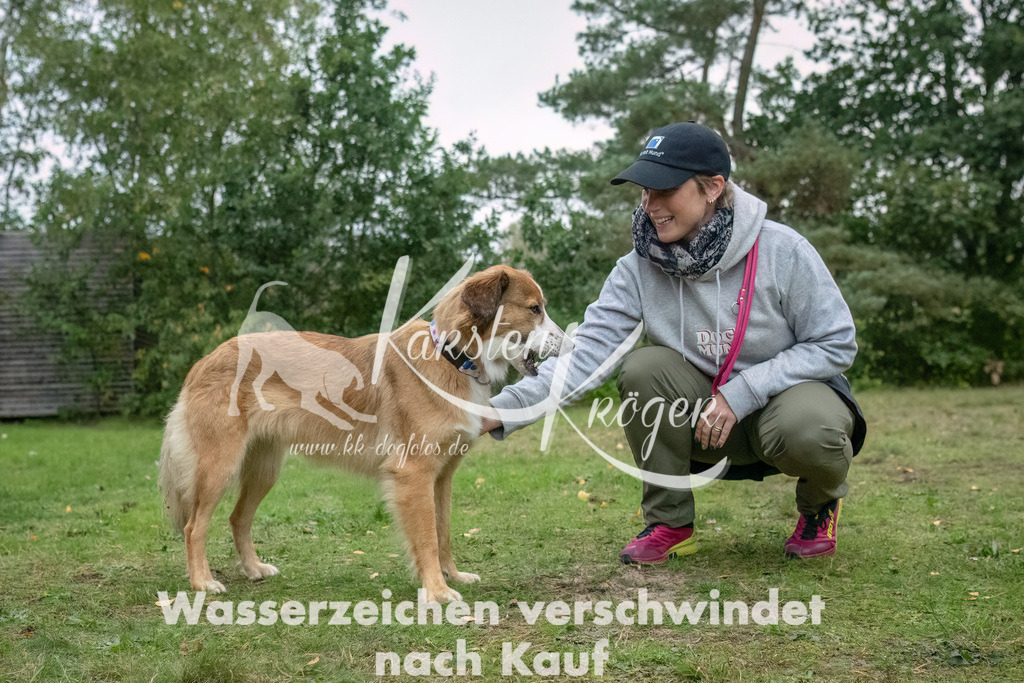 1713_ZZ91187-3-Bearbeitet | kk-dogfotos