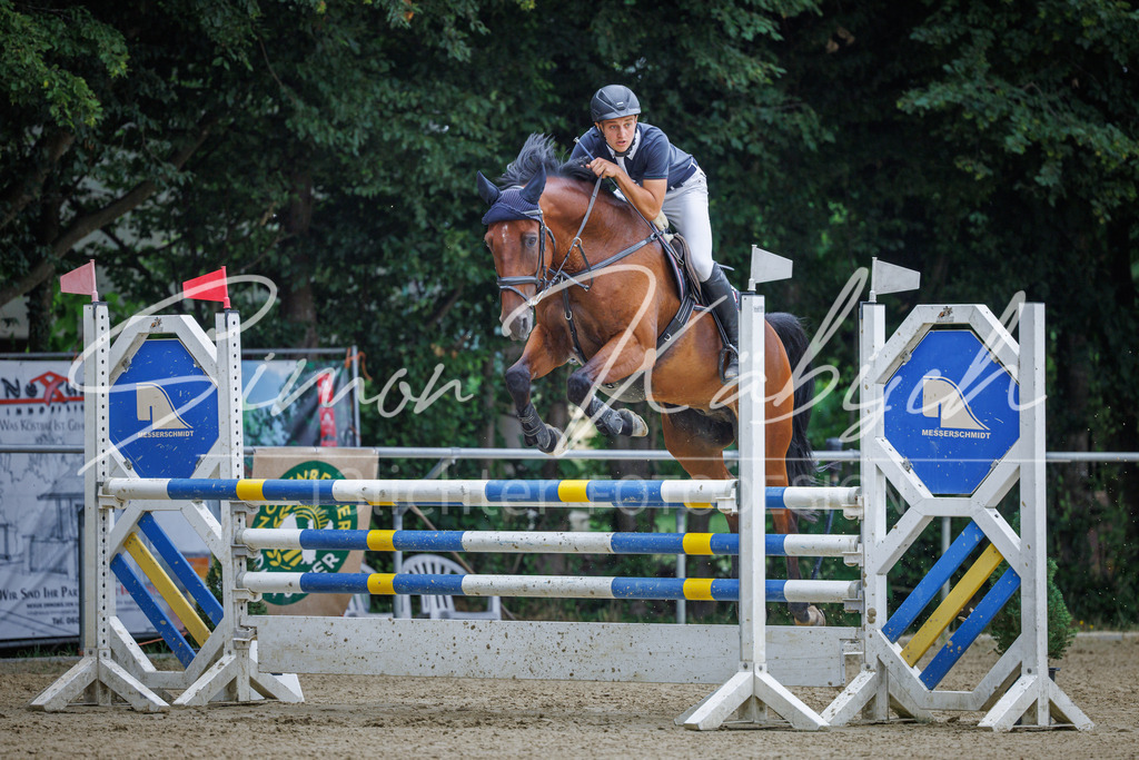20260705-_3LI6417 | Tierfotografie Pferde, Hunde, Katzen, Haustiere.
Turnierfotografie Reitturniere, Reiten, Springreiten, Dressur in Hanau, dem Main-Kinzig-Kreis und dem Rhein-Main- Gebiet um Frankfurt