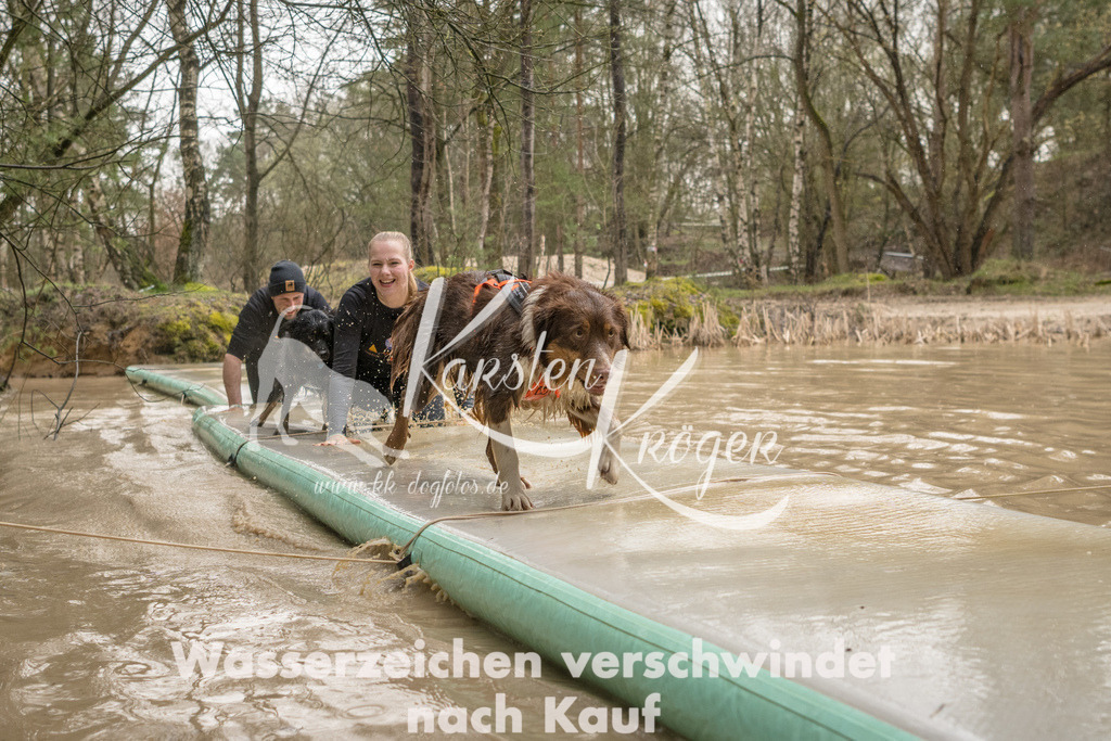 1340_ZZ90390 | kk-dogfotos