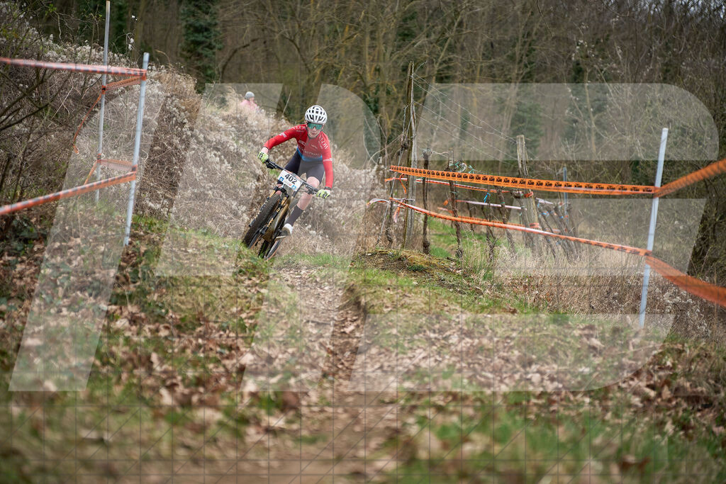 34. KTM Kamptal Trophy  | ZÖBING, Österreich – 2026-03-28: 34. KTM Kamptal TrophyFoto: © 2026 Martin Bihounek - MB Creative e.U.