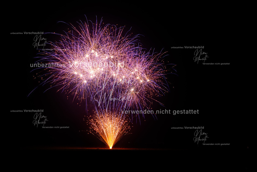 _16A2202-1 | Einzigartige Fotos von Hunden & Menschen –Actionfotos, Portraits, Vereinsaufnahmen & Paarshootings – authentisch, lebendig & mit Herz.