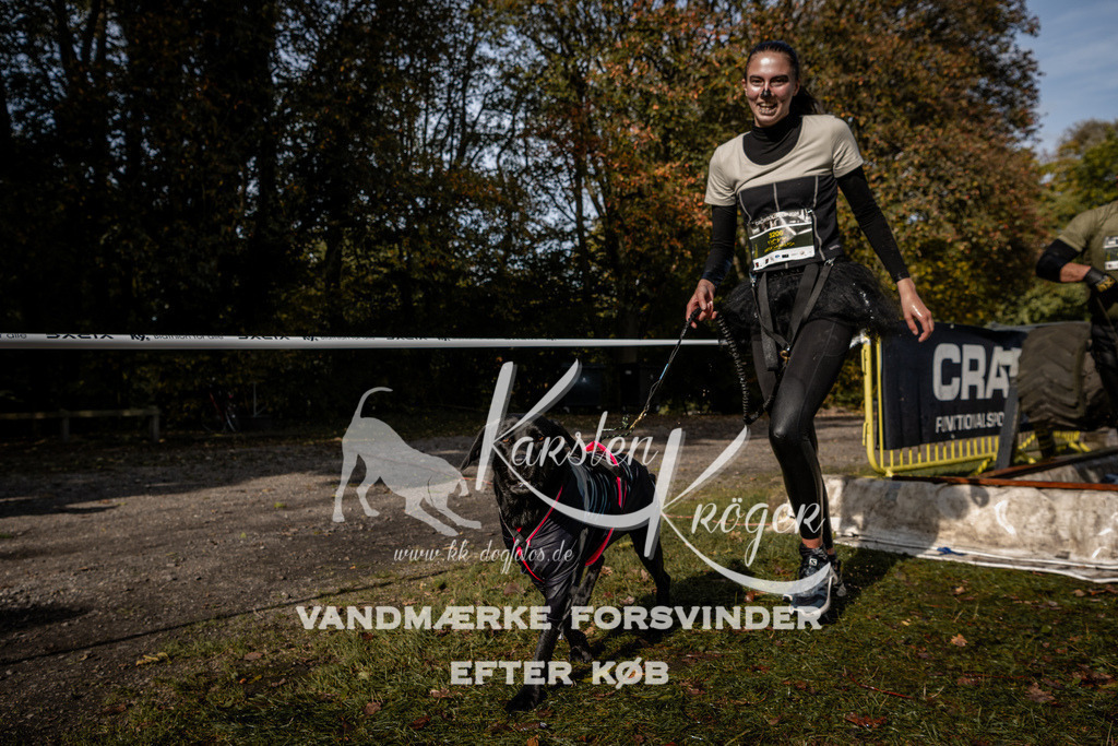 1302_ZZ91760 | kk-dogfotos