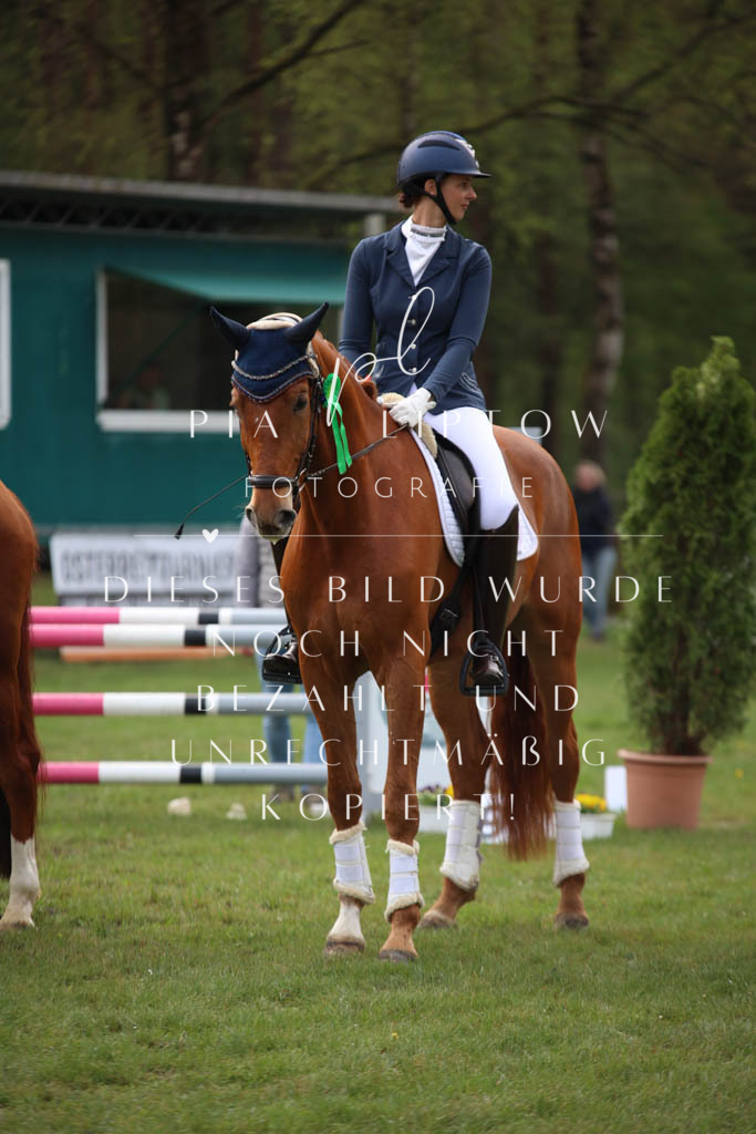 IMGT3451 | pl-fotografie