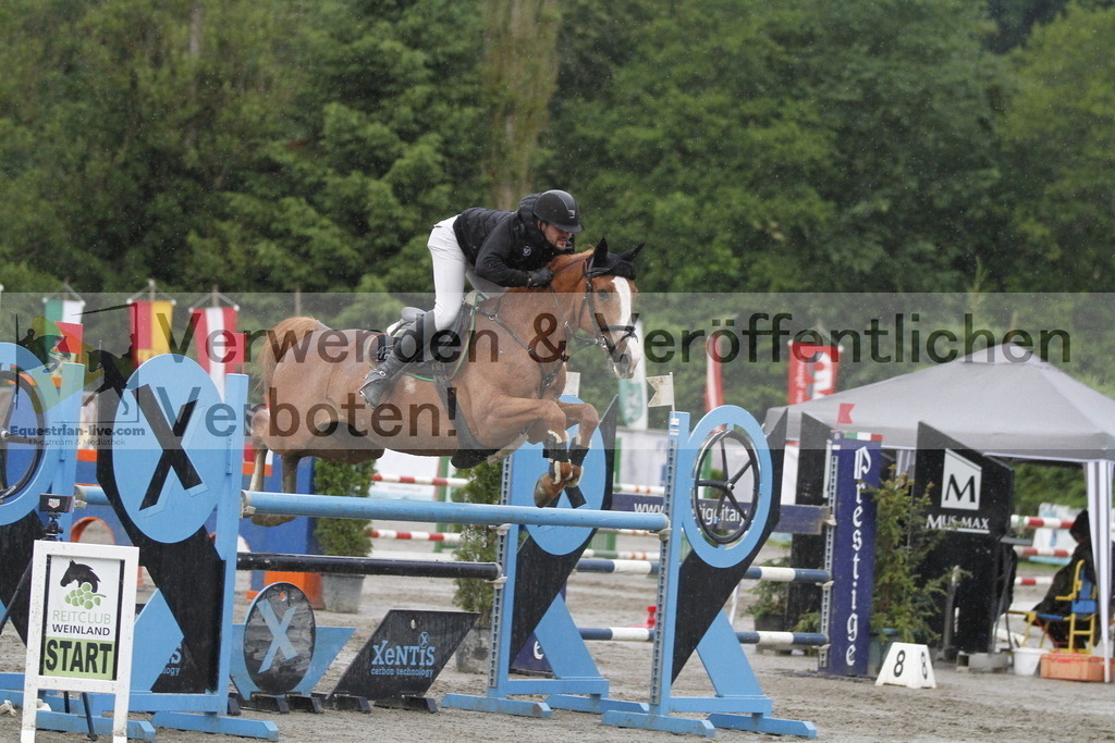 _MG_2895 | equestrian-live-com