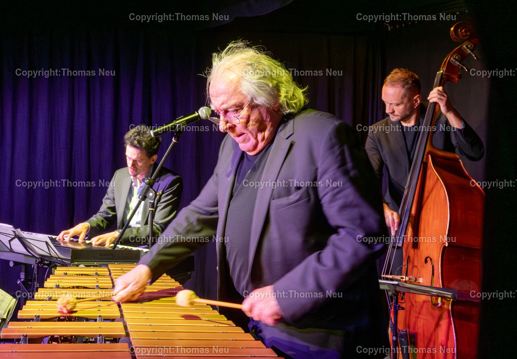 PiPaPo-Jazz-Dizzy-Krisch-fotografie-thomas-neu.jpg-17 | bbe, Dizzy Krisch im PiPaPoi, Vibraphone Diaries“ blätterte Dizzy Krisch in den musikalischen Tagebüchern der großen Vibraphonisten des Jazz.,Bild: THomas Neu