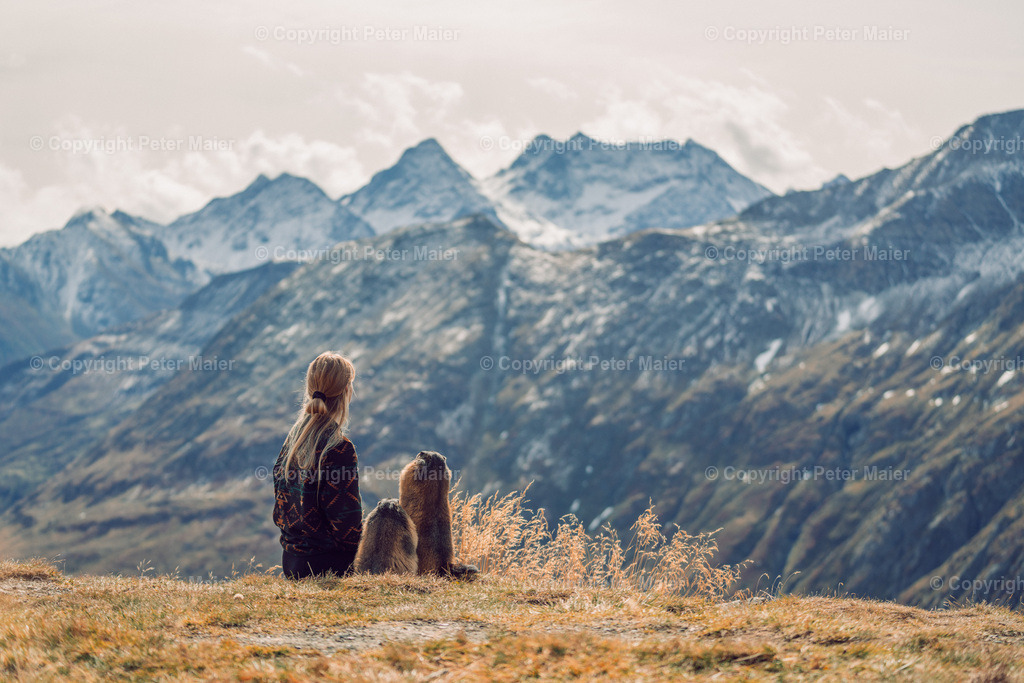 Murmel_Andrea_Okt_24-137 | piet_flosse