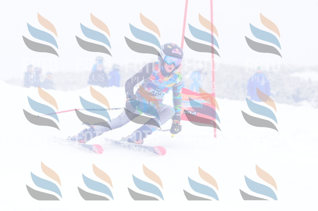 C4251 | holidayphoto