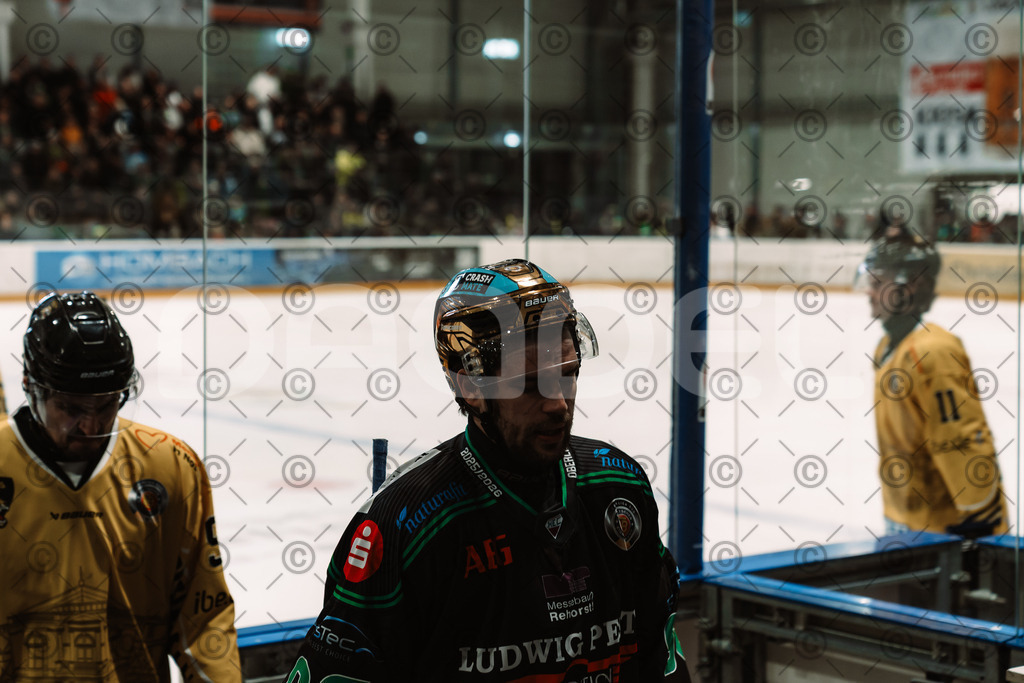 Alligators_vs_Bayreuth_10_2025-66 | Höchstadt Alligators Fotogalerie: Eishockey-Action aus Franken. Professionelle Spielfotos, Portraits & Stadionbilder zum Download. Jetzt entdecken! - Realisiert mit Pictrs.com