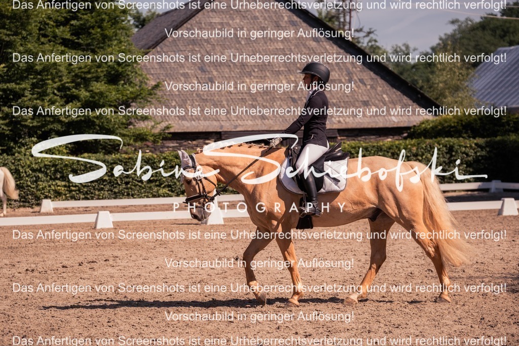 2025_05_31_DSCF3034 | People- und Tierfotografie, Imageaufnahmen, Veranstaltungsfotografie und Wandbilder aus der Natur ★ Made in Germany ✔️ Druck + Downloads ✔️ Naturfotografie in Top Qualität ★ schneller Versand, weltweite Lieferung! - Realisiert mit Pictrs.com