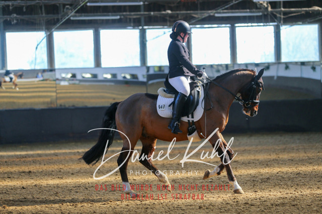 IMG_2986 | Turniersportfotografie; Pferdefotografie; Dressurfotografie