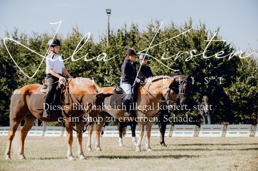 DSC_7013 | Pferde- und Turnierfotografie in Westsachsen. Pferdeportraits, Auftragszeichnungen und intuitive Kunst.