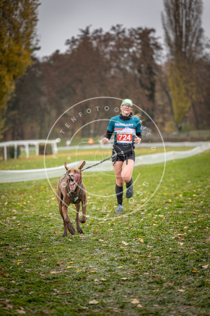 CaniXpix_DV3A9229 | Hundefotografie, Tierfotograf, Pfotenfotografie, Fotoshooting Hund, Hunde Portrait, Hundesport, Hundeportraits, Heideshooting, Hunde, Sportfotograf, Hundefotograf, Turnierhundsport, THS,  - Realisiert mit Pictrs.com