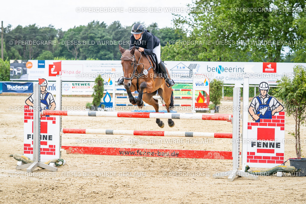 DSC05458 | Pferdegrafie