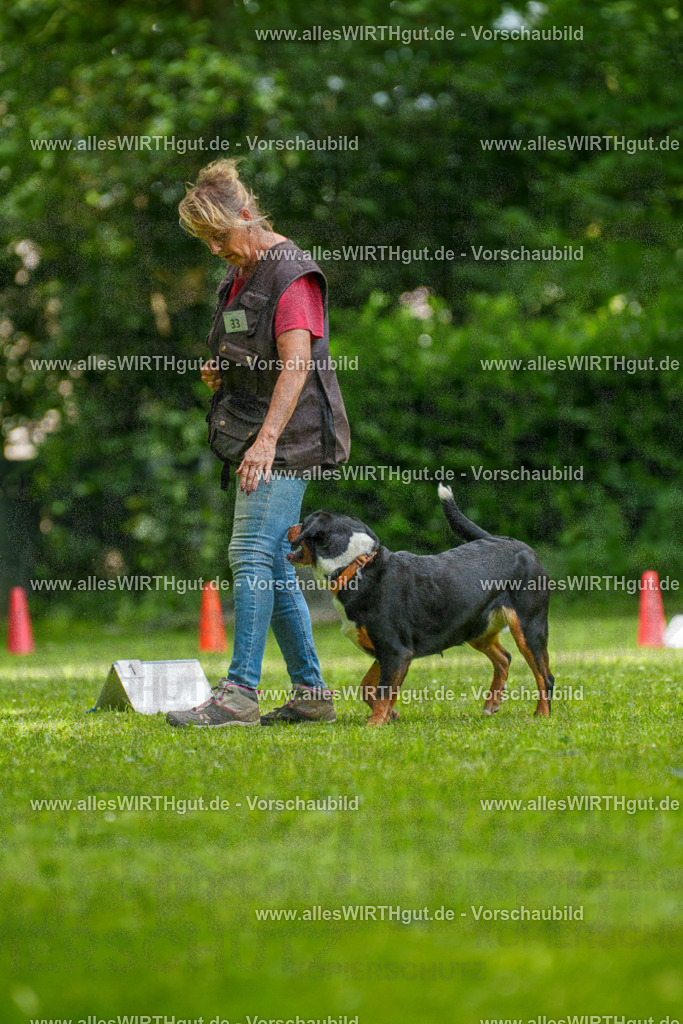 @allesWIRTHgut_Tierfotografie - www.allesWIRTHgut.de - 7R504584 | Professionelle Tierfotografie in Mönchengladbach von Daniel Wirth (allesWIRTHgut). Liebevolle & natürliche Bilder von Hunden & Katzen für unvergessliche Erinnerungen.