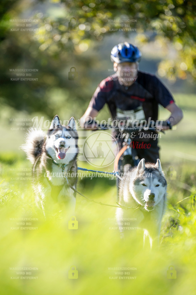 MompixPhotography_20TSB_E3_DS2-50 | PayLife
