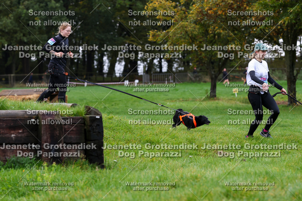 Dog Paparazzi -  SD1026-1347 | Dog Paparazzi Jeanette Grottendiek Fotografie & Videografie - Realisiert mit Pictrs.com